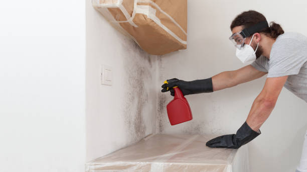 Professional Mold Inspection And Testing technician working in Nahant, MA